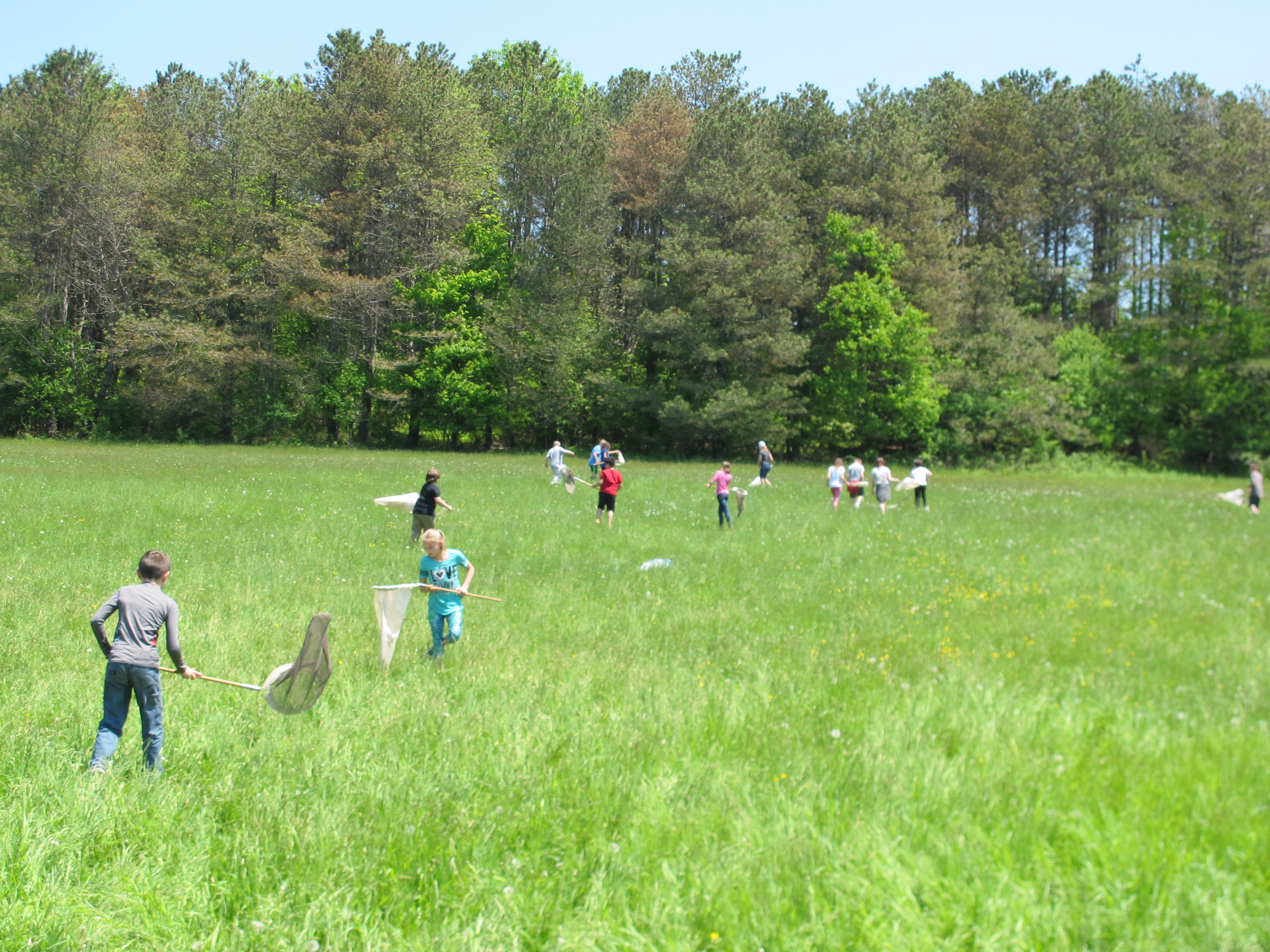 3 PM: Gallery: Students Take Part In 52nd Annual Conservation Field ...